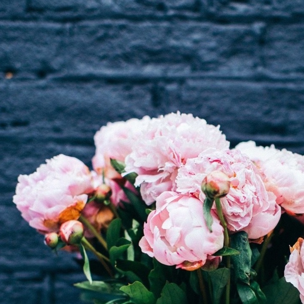 Meet your Posher, Julie